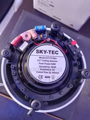 Sky-Tec 60w Big Magnet Flameless Ceiling Speaker Very Good Performance