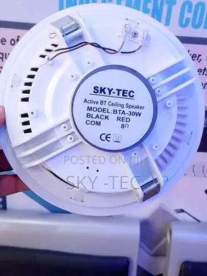 Original Sky-Tec 30watts Big Magnet Ceiling Speaker Very Good Sound