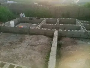 Professional Building Engineer