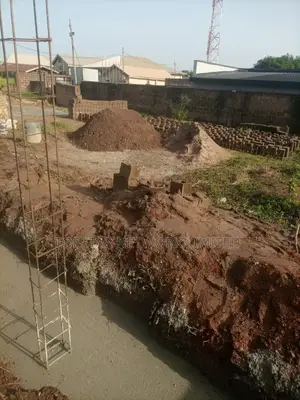Professional Building Engineer