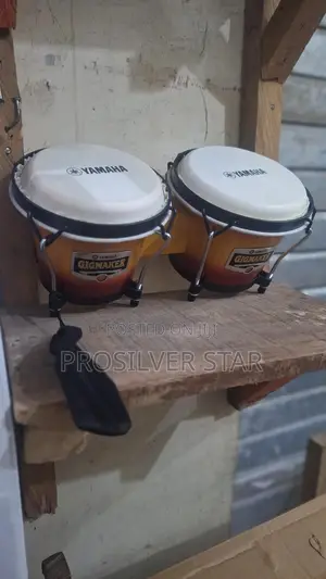 Small Bongo Drum