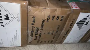 2.5kwh 24v Pattern Lithium Ion Battery