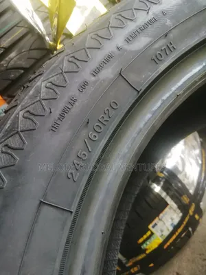 245/60r20 Sailun Tyre