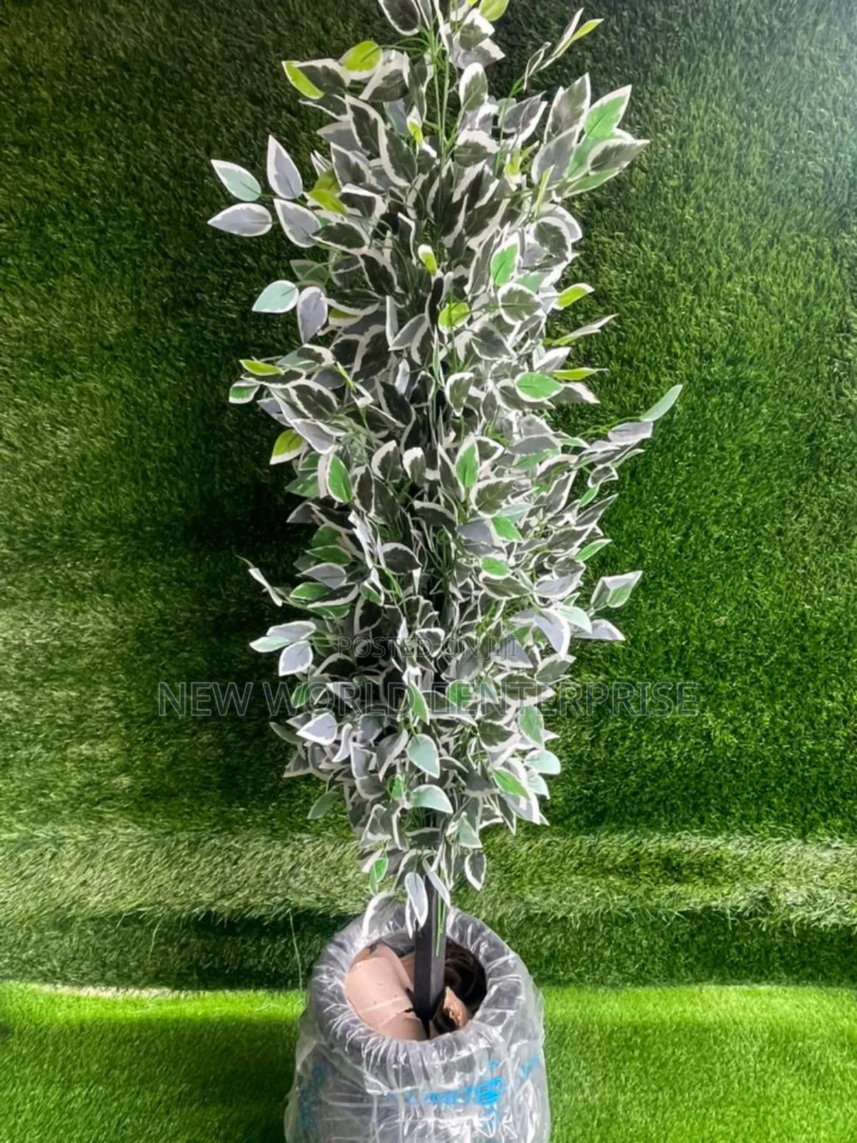 Stand Flower Plant