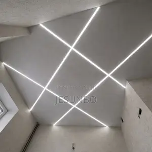 Profile Light