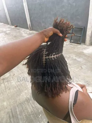 Sisters Loc / Microlocs