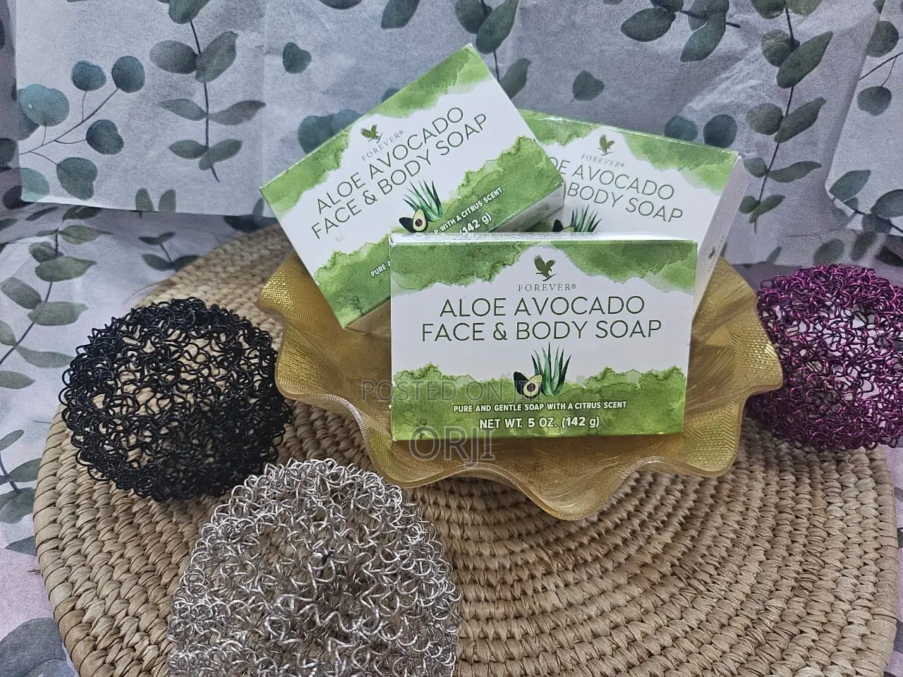 Aloe Avocado Face and Body Soap