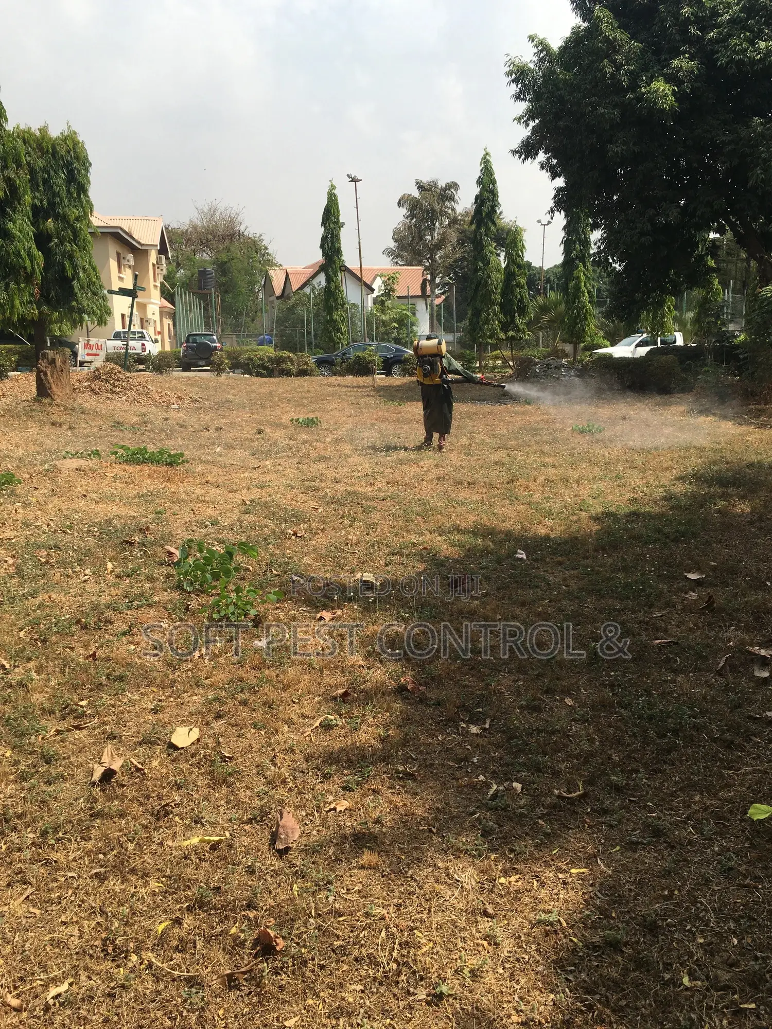 Pest Control and Cleaning
