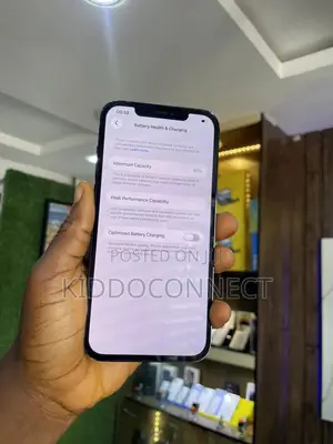 Apple iPhone 12 Pro Max 256 GB Blue