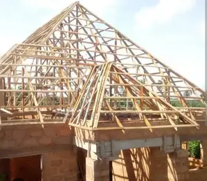 Roofing and Carpentry Expert