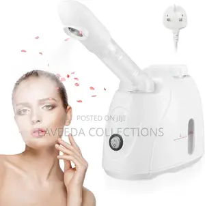 Mini Facial Spa Face Steamer