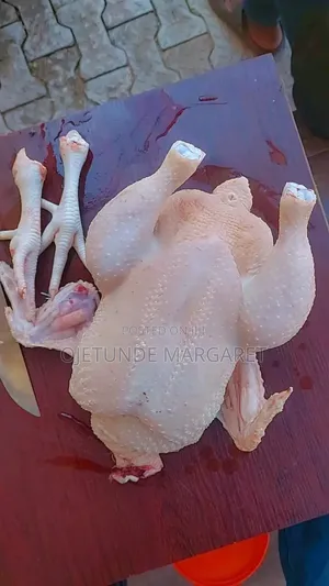 Frozen Foods