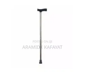 Walking Stick