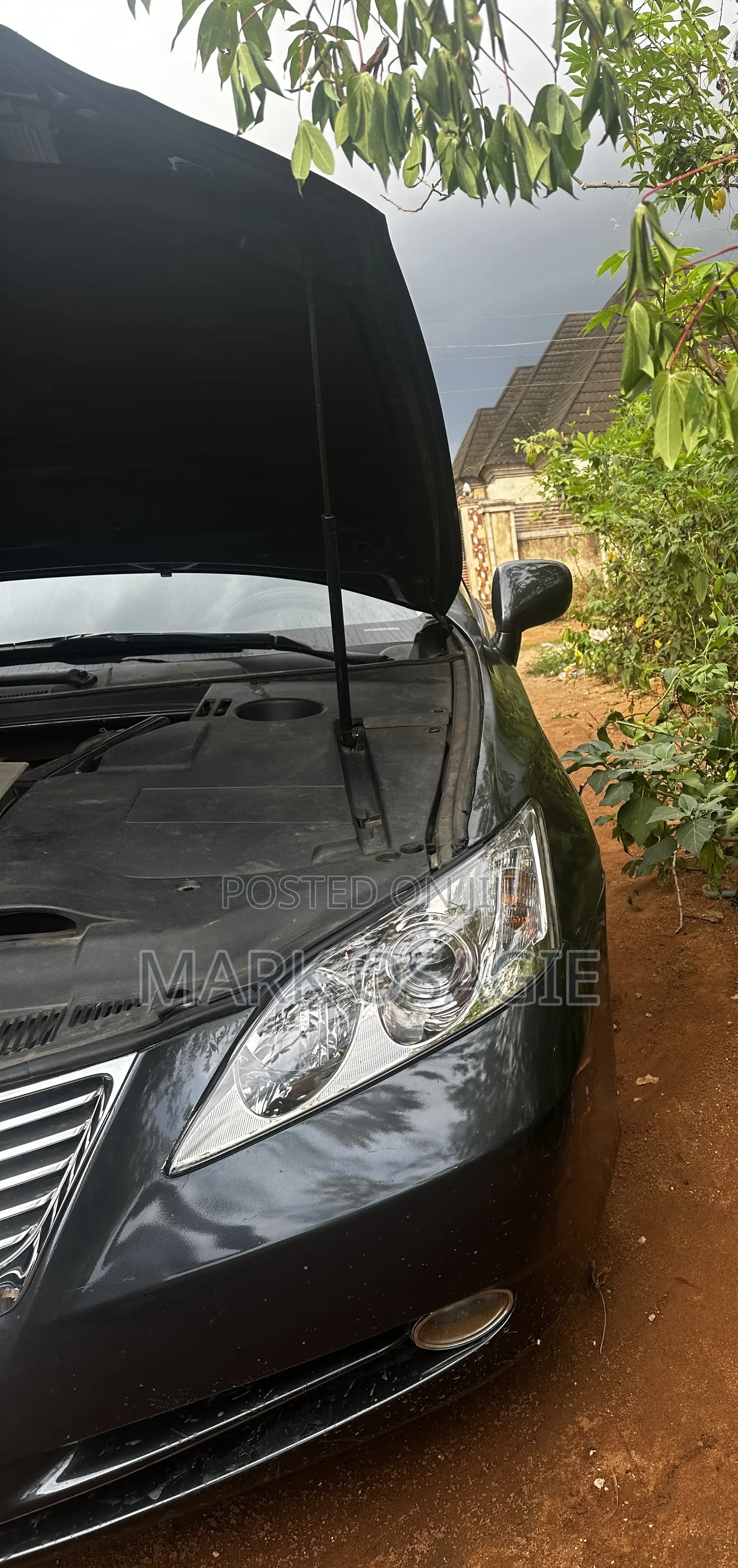 Lexus ES 350 2009 Gray