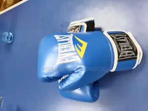 Everlast Boxing Glove