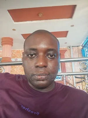 Mr Tope Olugbogi