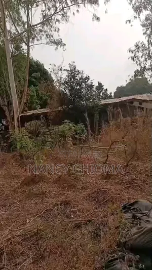Land for Sale at Emene Industrial, Behind Anamco Enugu