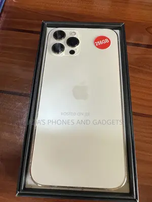 Apple iPhone 12 Pro Max 256 GB Gold