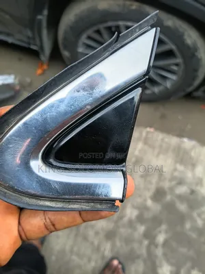 Mirror Pad Rx 350 2018 /2020