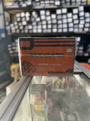 Cool Tiger 75 Amps Car Battery