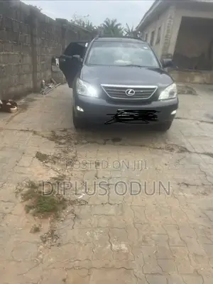 Lexus RX 330 2004 Gray