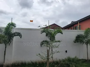 Foreign Electric Fence System