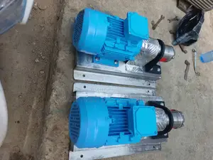 Stainless Steel Pump Gear Pump