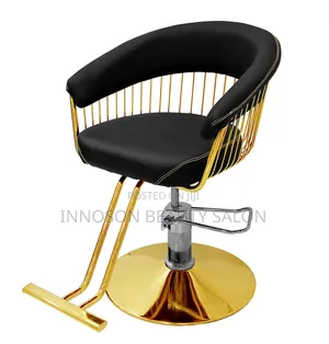 Salon Chair