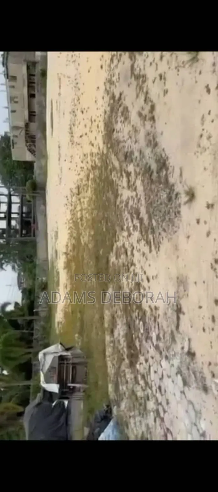 Landed Property