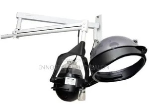 Wall Hair Steamer