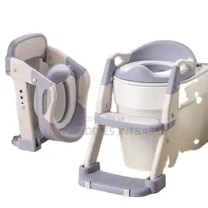 Toilet Ladder and Potty