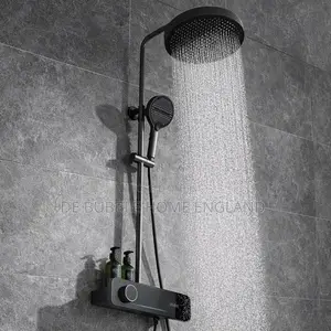 Executive Thermostatic Shower