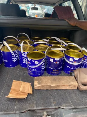 Paint For All Kinds Of Beautification