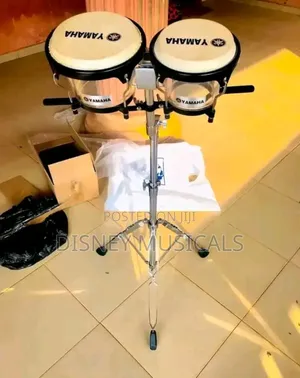 Bongo Drum