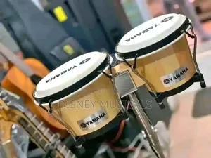 Bongo Drum