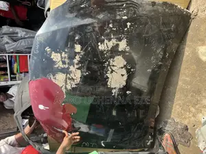 Lexus Bonnet Is 250 2008