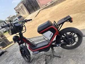 Portable and Powerful 48v Delivery E-Bike (Long-Lasting Battery)
