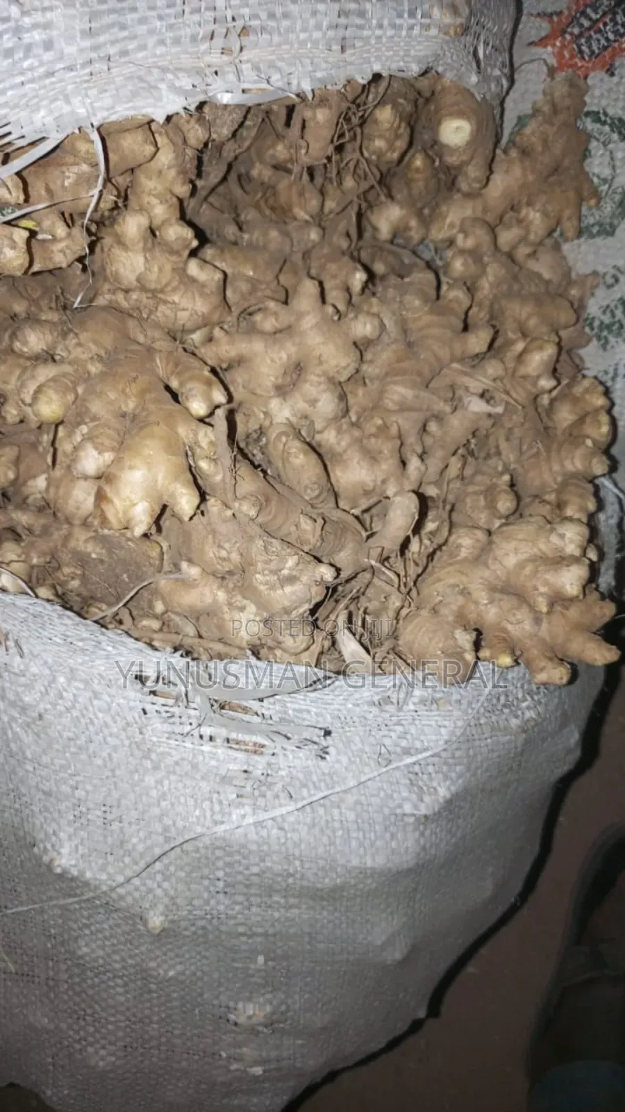 Ginger Fresh