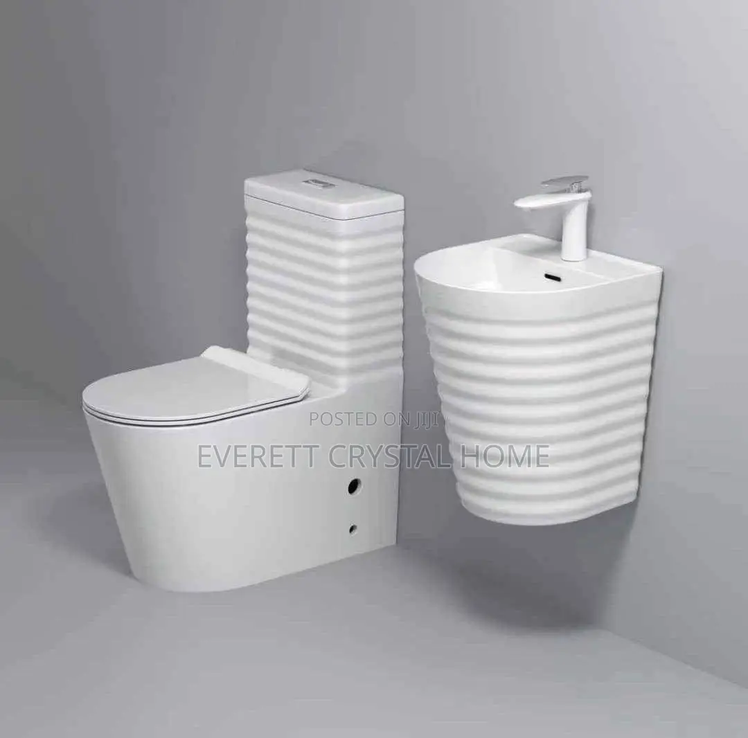 Executive Wc With Hanging Basin