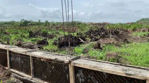 Affordable Developed Estate Land in Baba Adisa, Lagos