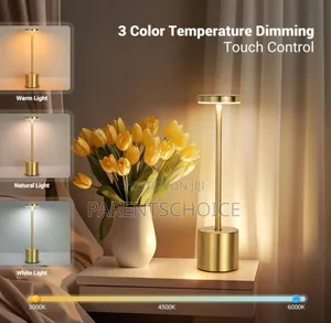 Wireless Table Lamps