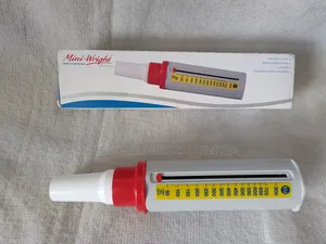Peak Flow Meter