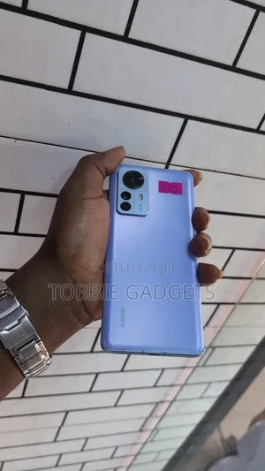 Xiaomi 12 Pro 256 GB Blue