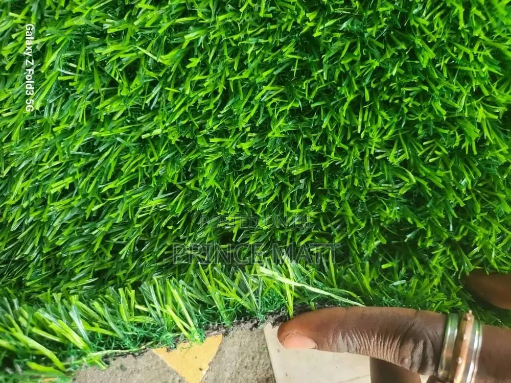 Good Gras Carpet