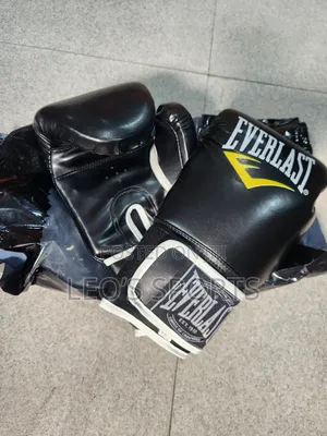 Everlast Boxing Gloves