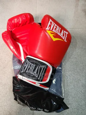 Everlast Boxing Gloves