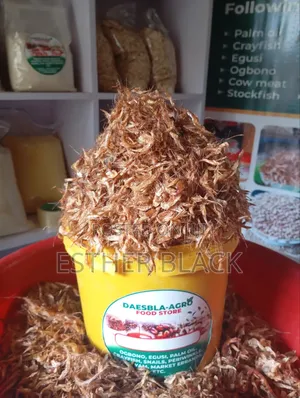 Clean Oron Crayfish
