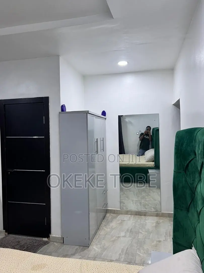 One Bedroom Luxury Apartment at Ikeja Gra