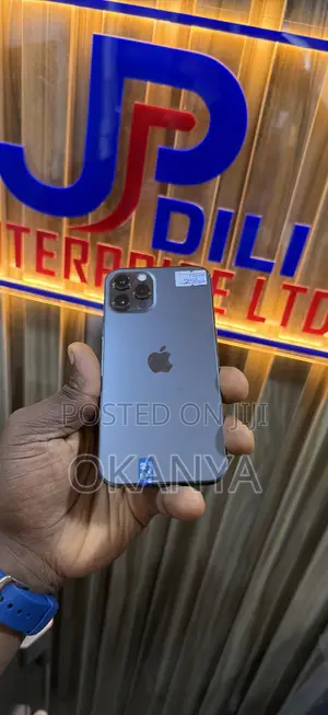 Apple iPhone 12 Pro 256 GB Gray