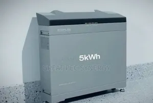Ecoflow Power Ocean Inverter And  Battery 5kw Each.